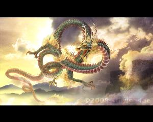 龙天上下结构读什么，龙天养的真实身份
