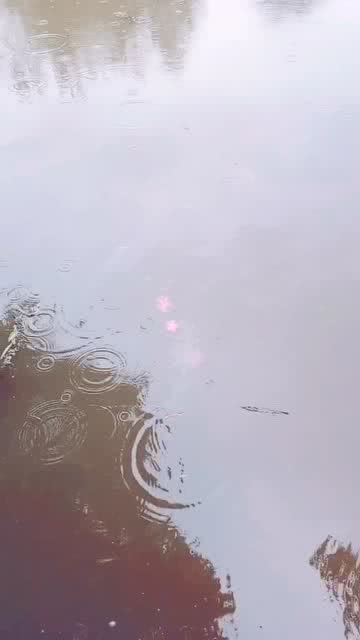 淅淅沥沥怎么读
