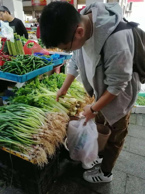 择菜的解释择菜的解释是什么
