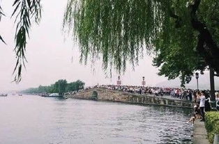什么叫做“南渡”