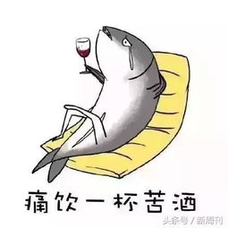 现在流行的“积极废人”是什么?有哪些代表类型?