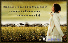 什么是万丈红尘,一壶浊酒,三杯清茶?