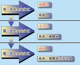 社会分工什么时候出现的，社会分工论是谁写的