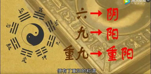 中九次九末九分别是哪些学校