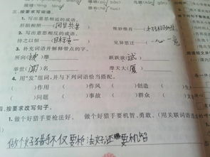 配的组词音序?