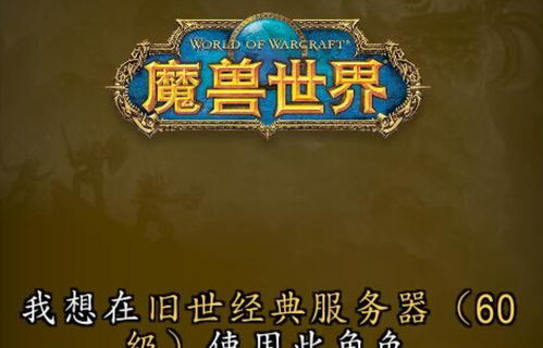 拾掇的意思