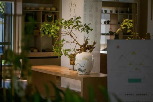 居字什么意思