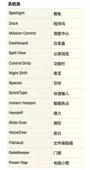 名词是什么意思?