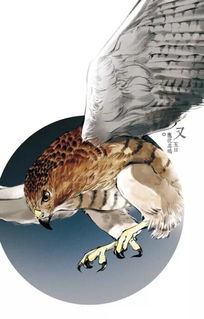 鹰化为鸠众鸟犹恶其眼是什么意思，三候鹰化为鸠