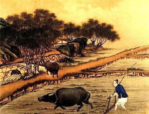 狼狈相倚的拼音怎么写，狼狈像还是狼狈相