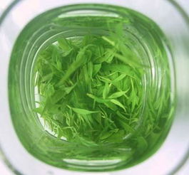 早茶好还是土茶好