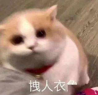 磕磕巴巴是动词还是形容词?