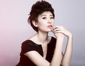 吕夏黄三势吕，吕夏主演的全部电视剧