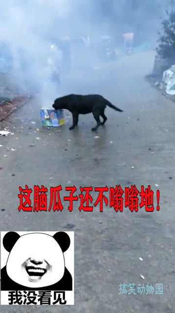 嗡嗡地什么填词语答案，嗡嗡地什么着