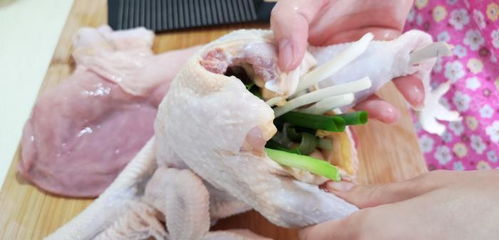 鸡小肚是什么部位，鸡小肚百科