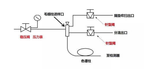 中考分流是什么意思，小学分流是什么意思
