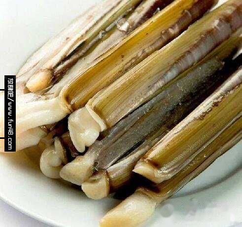 蛏子怎么读潮汕话，蛏子怎么做好吃