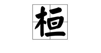 模组词组，橱组词
