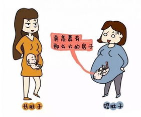 置之不理的置是什么意思