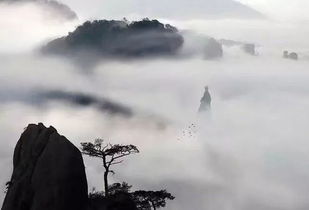 禅心的意思