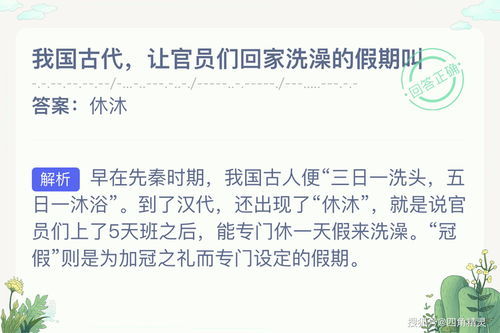 大方之家是什么意思