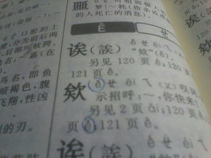 迨怎么读拼音和组词，迨的拼音怎么拼写