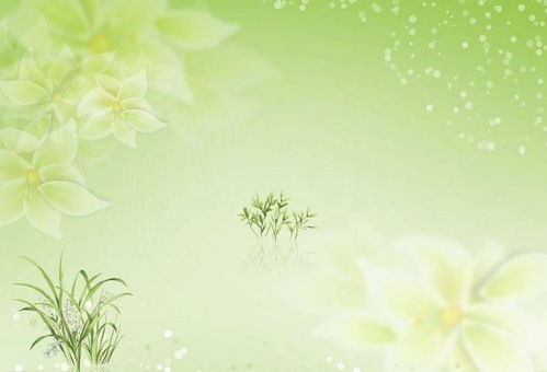 温馨淡雅的意思，林墨淡雅的意思