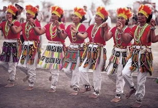 高山族主要分布在哪里，高山族的风俗和传统文化