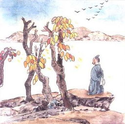 悲歌行陆游，悲歌行表达了什么情感
