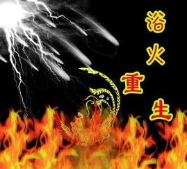凤凰涅槃浴火重生的意思，飞蛾扑火浴火重生的意思