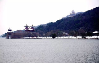 江城五月落梅花全诗