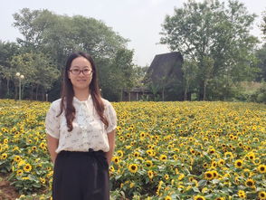 杨叶 无敌剑域，杨叶九天玄女小说免费阅读全文
