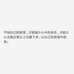 “人生若只如初见,相见不如不见”是什么意思?