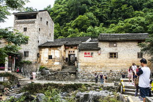 龙祠山泉，龙神殿小说完整版免费阅读