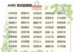 abc c式词有哪些