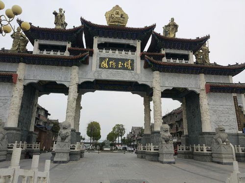 玉城TINA主要经历