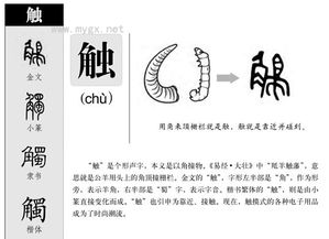 解的拼音，斛的拼音