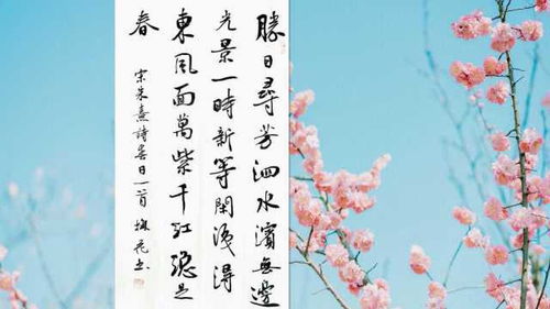 写景的诗句有哪些?