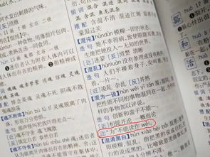 拐杖的杖组词怎么组，拐杖的杖组成语