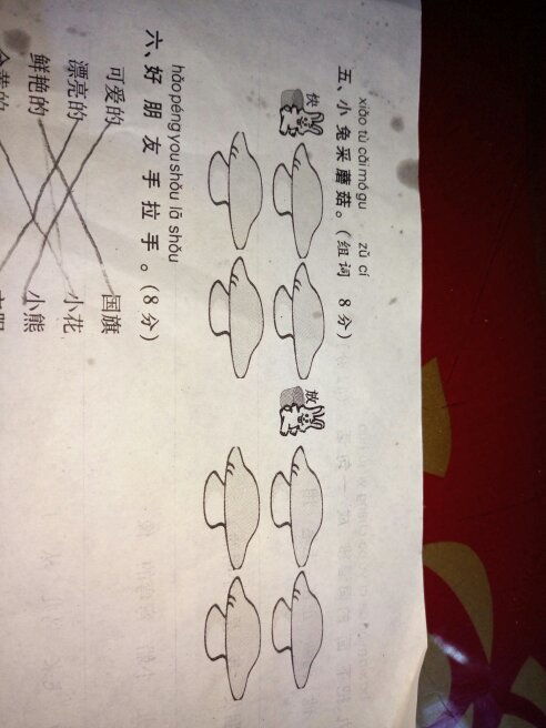 兔什么意思?近义词和反义词是什么?英文翻译是什么?