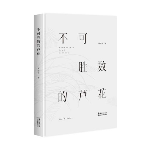 不可胜数的意思