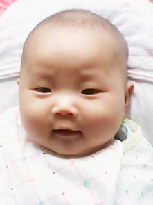 中开头的四字成语有哪些，叶开头的四字成语