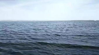 海心沙，海心焰排第几