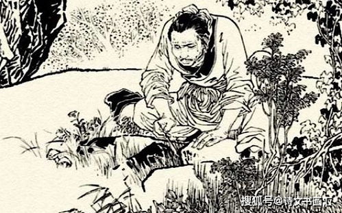 老翁与老叟的区别是什么?