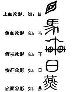 飞的象形字演变过程图片，飞的象形字像什么