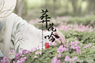 葬花吟原文全诗，林黛玉葬花吟原文
