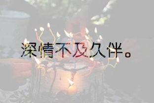 伴组词语