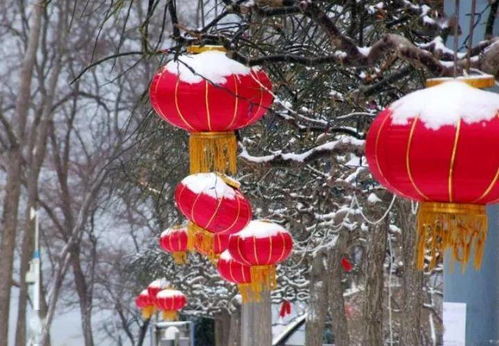 半夜三更雪打灯，雪打灯笼下一句是什么