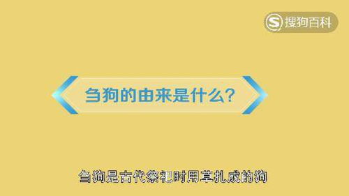 古人名字的由来