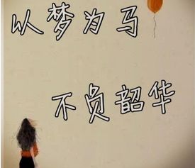 只争朝夕不负韶华读音，鲜衣怒马不负韶华读音